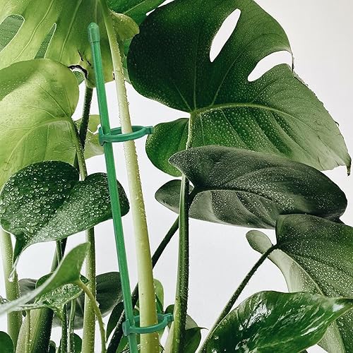 Miniatura 7 de 20 estacas de soporte para plantas, altura ajustable, para jardín, con 40 clips para plantas y 10 tubos de conexión para orquídeas, rosas, peonías,