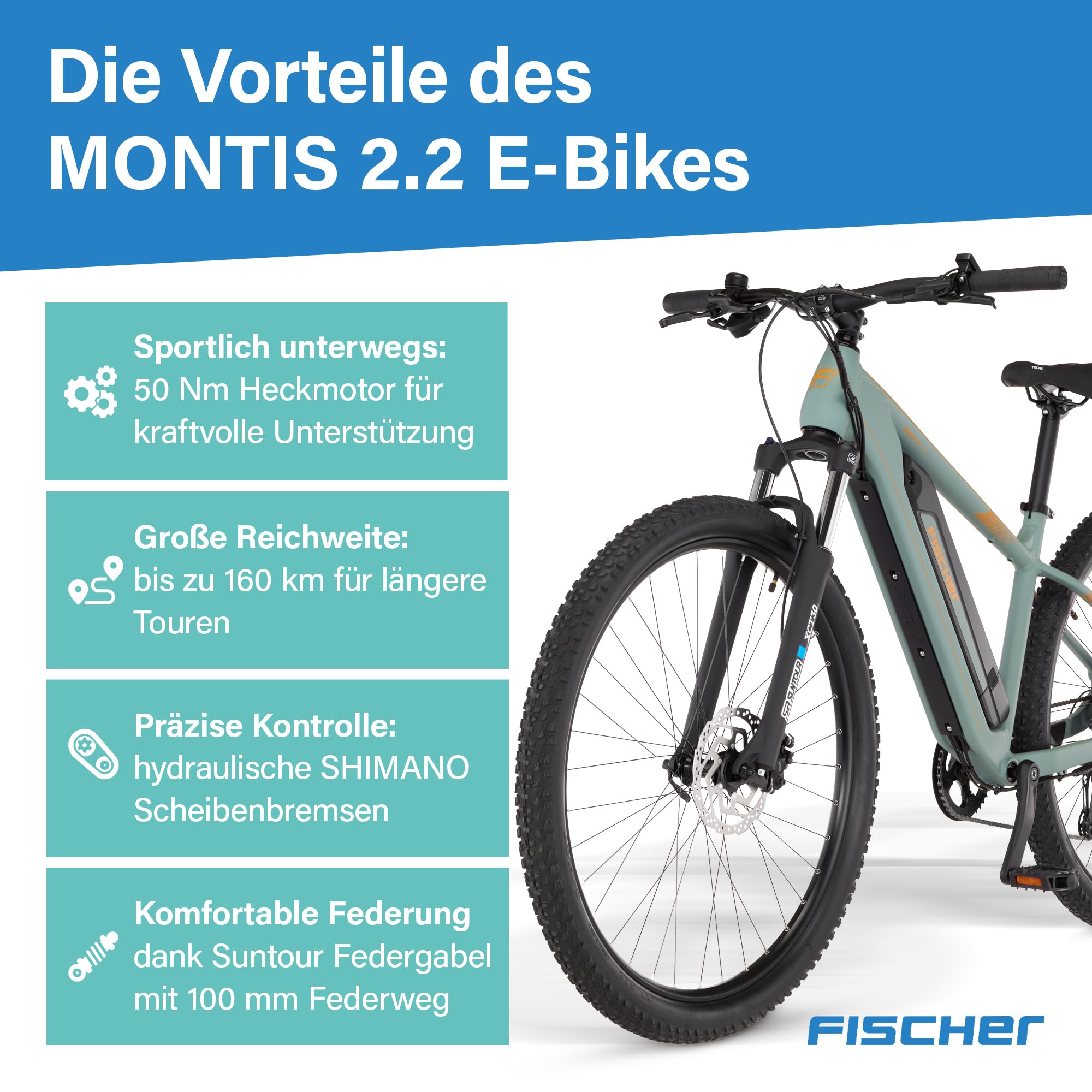 Fischer E-Bike MTB Montis 2.2 Active Elektrofahrrad für Damen und Herren, RH 43, Heckmotor 50 Nm, 48 V Akku