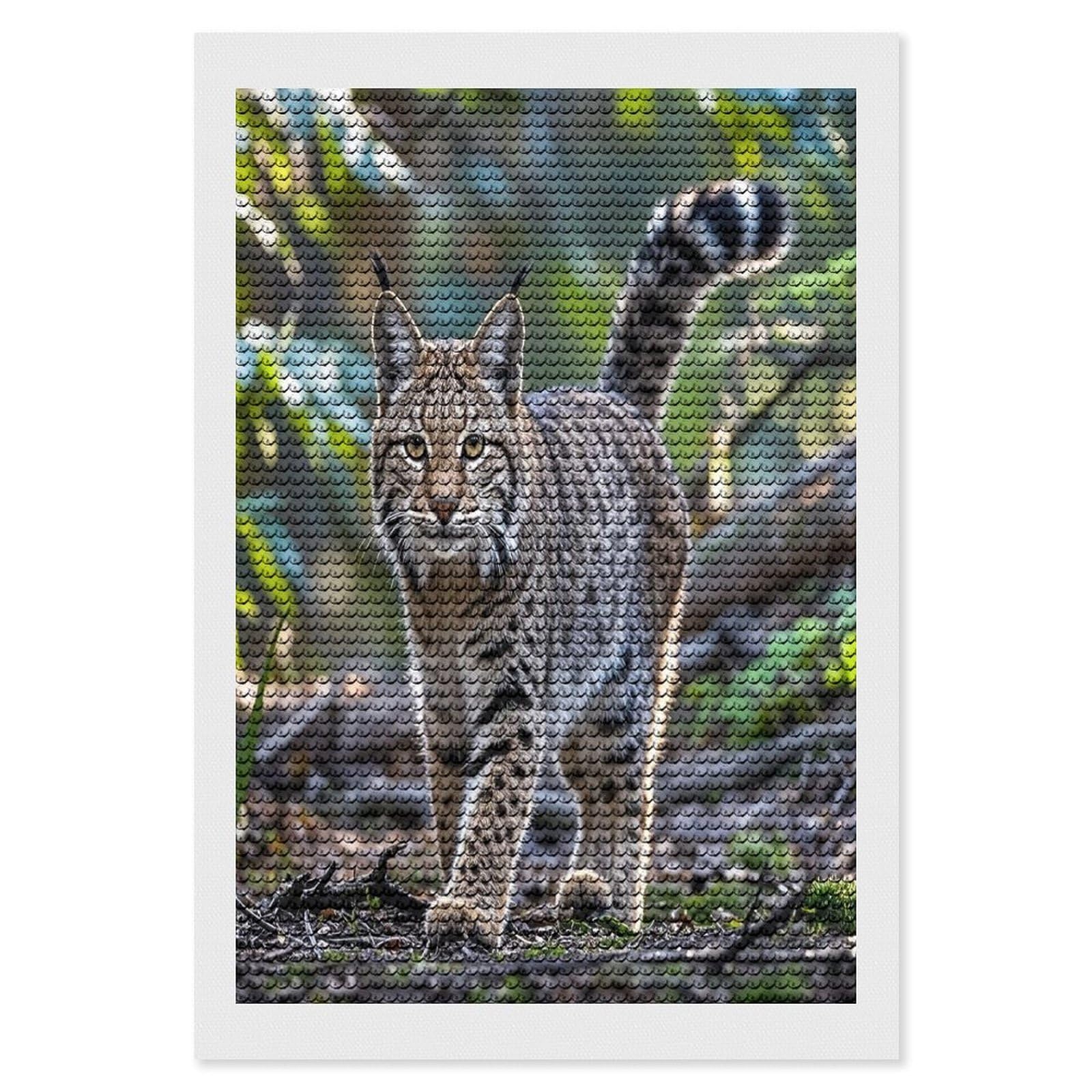 FekiLoot Wild Bobcat Diamond Painting Kits for Adults Full Round Drill Diamond Art Kits for Beginners 5D DIY Diamond Dots Paintings Diamonds Pictures Gem Art Home Wall Decor 8"x12"
