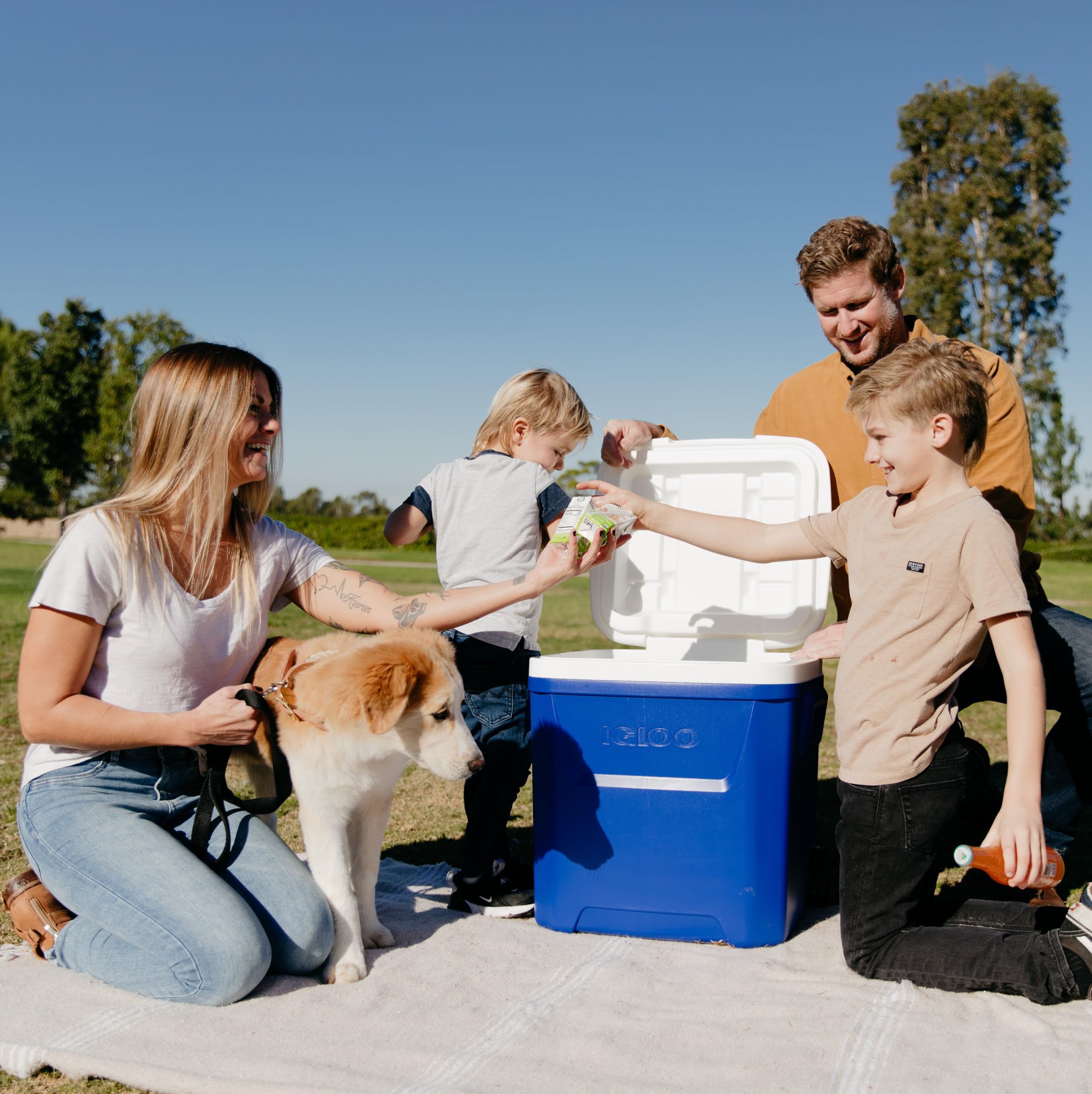 IGLOO Laguna 60 Glacière 56L – Grande Glacière Passive avec roulettes & Poignée Télescopique – Boîte Isotherme Robuste pour Camping, Plage & Loisirs, Idéale pour Boissons & Aliments
