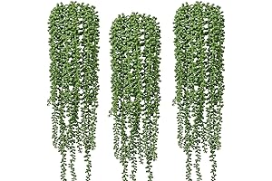 Decorative Artificial String of Pearl Plants for Aesthetic Home Decoration