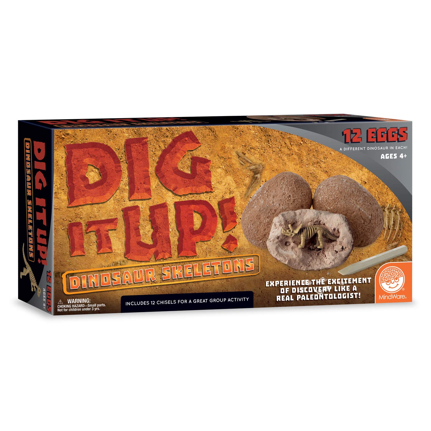 MindWare Dig It Up! Dinosaur Skeleton Eggs Excavation kit - Comes with 12 Clay Eggs, 12 Chisel Tools and 12 Instruction Sheets - Image 8