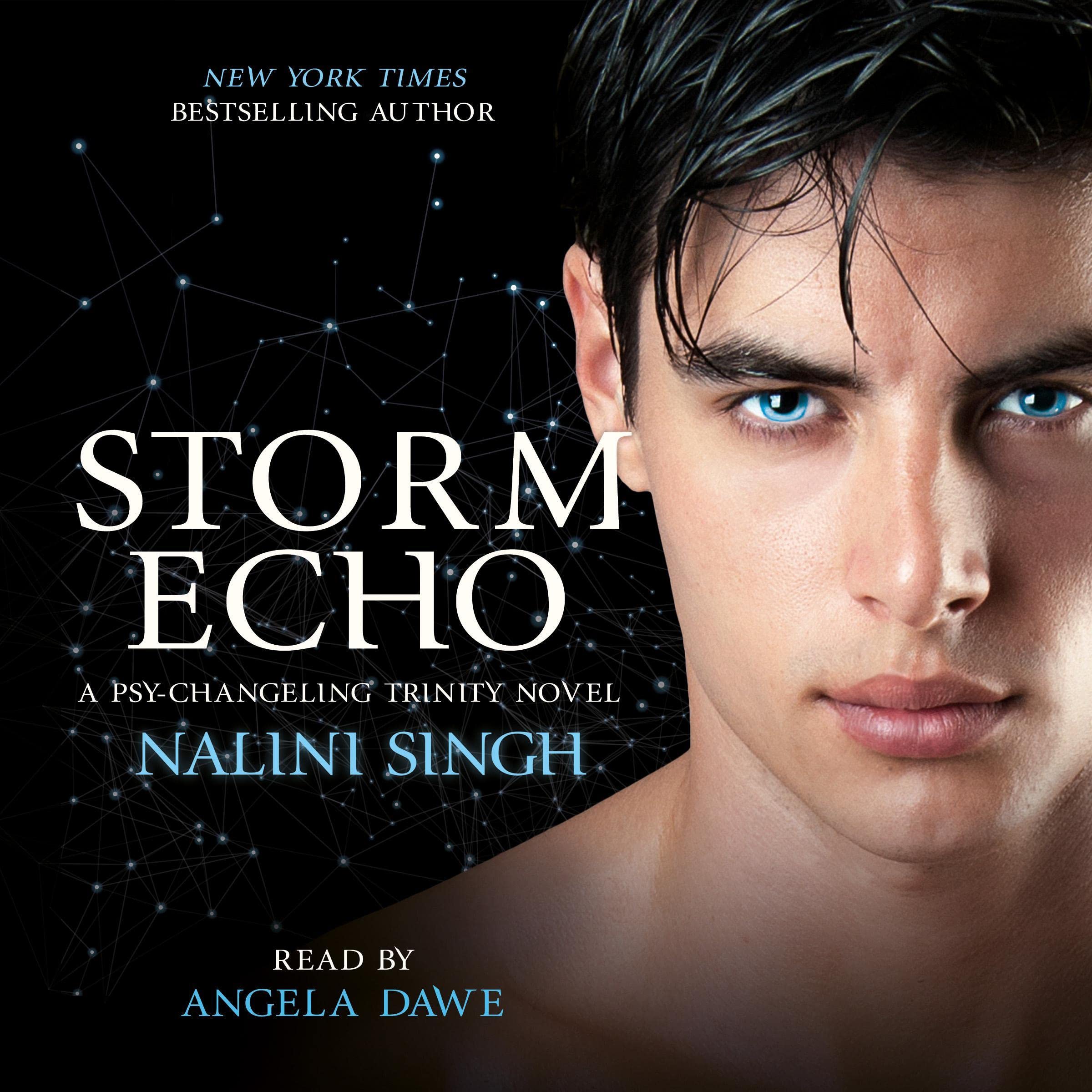 Cover art for Storm Echo