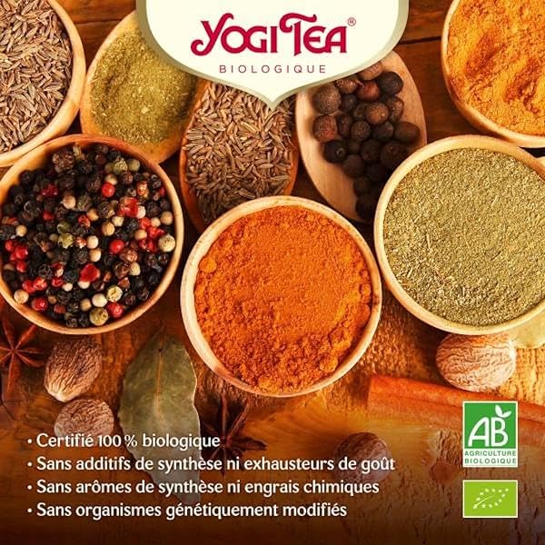 YOGI TEA Thé Vert Matcha Citron Bio – Infusion Énergisante au Thé Vert, Matcha & Agrumes – Citronnelle, Menthe Poivrée & Guarana – Tonus, Concentration & Vitalité – 17 Sachets - 5