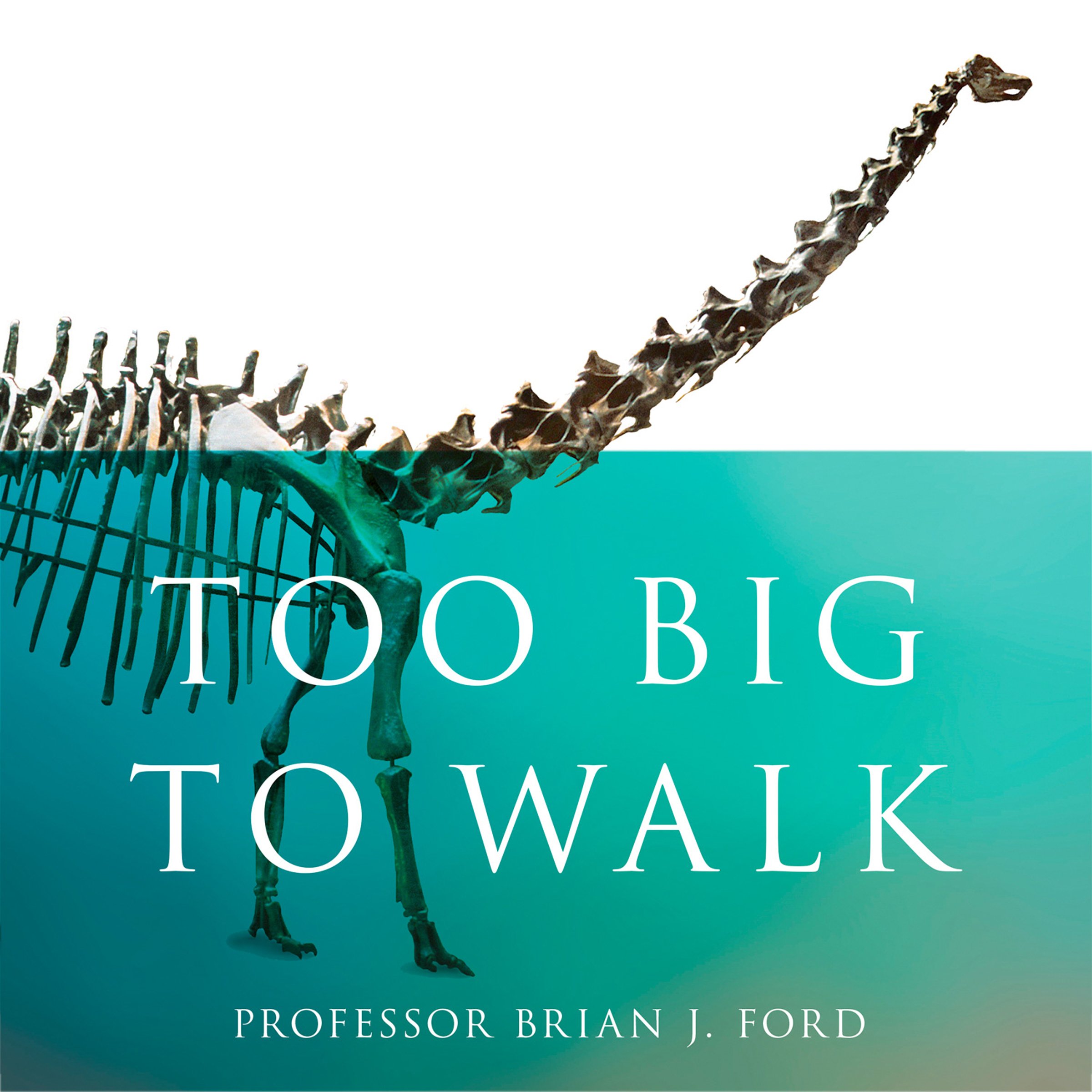 Cover art for Too Big to Walk