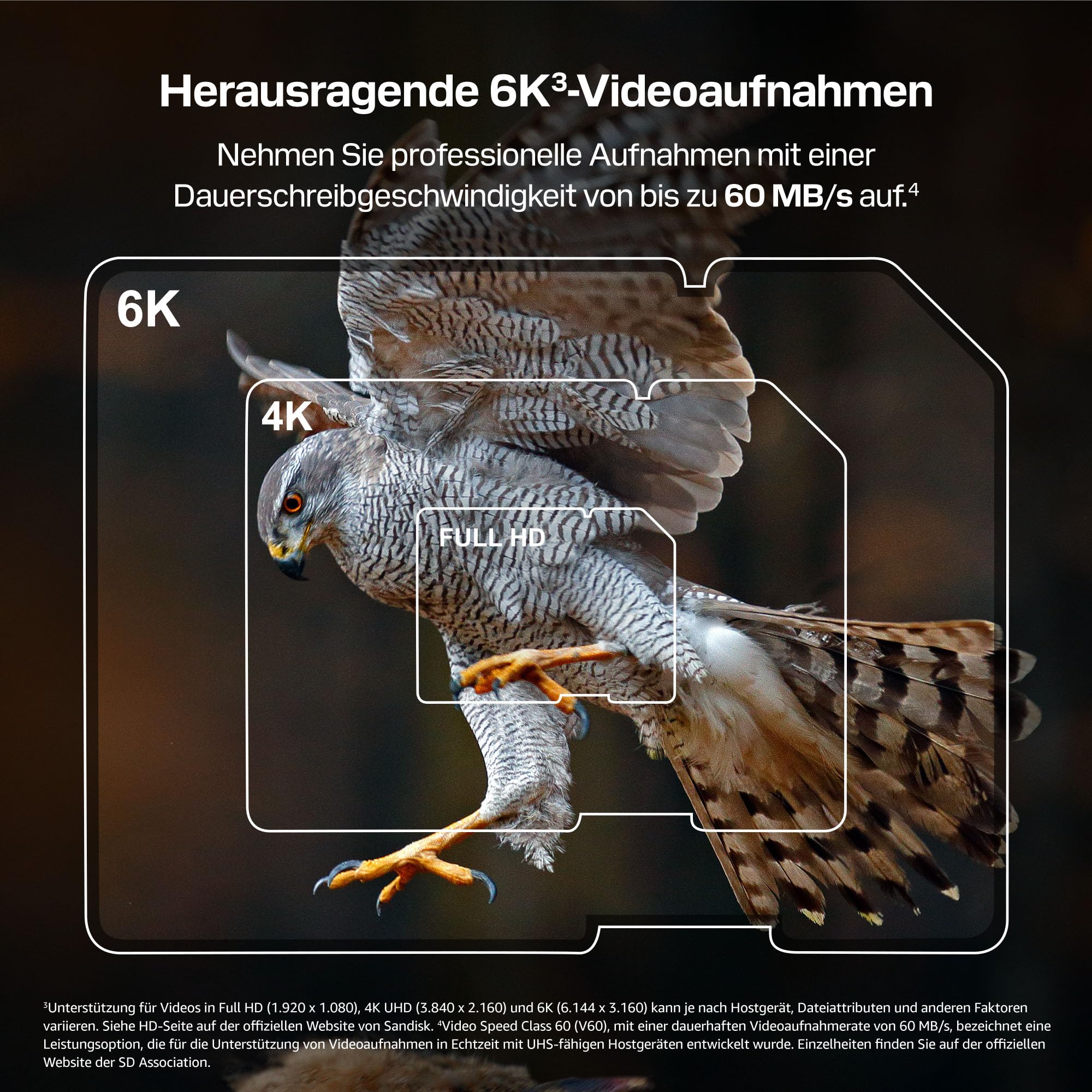 SANDISK Extreme PRO SDXC UHS-II V60-Karte 128 GB (Bis zu 300 MB/s Lesegeschwindigkeit, Bis zu 210MB/s Schreibgeschwindigkeit, 4K UHD, Full HD, U3 C10 V60) Kompatibel mit DSLR- und spiegellosen Kameras