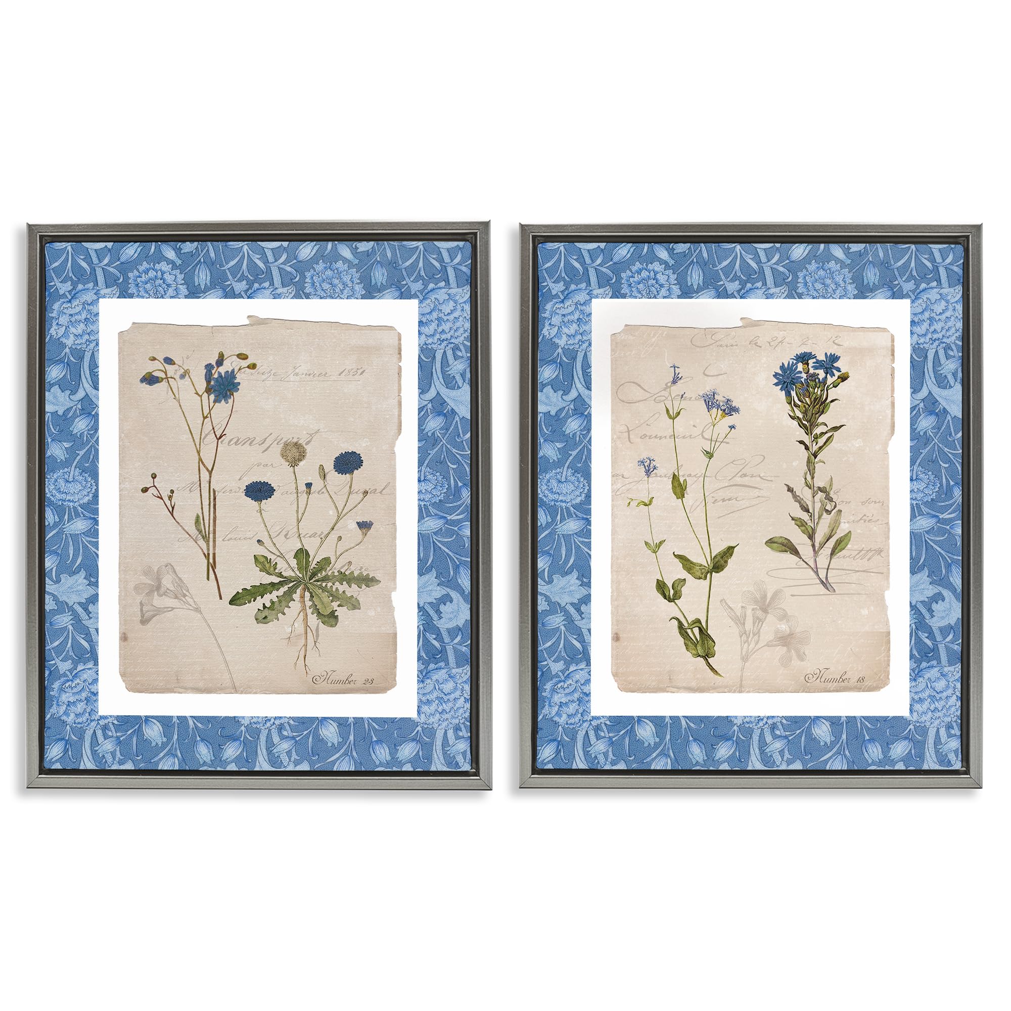 Stupell Industries Vintage Botanical Specimen Blue 'Blue Botanical Herbs'| 2Pc Floating Frame Art Set 2