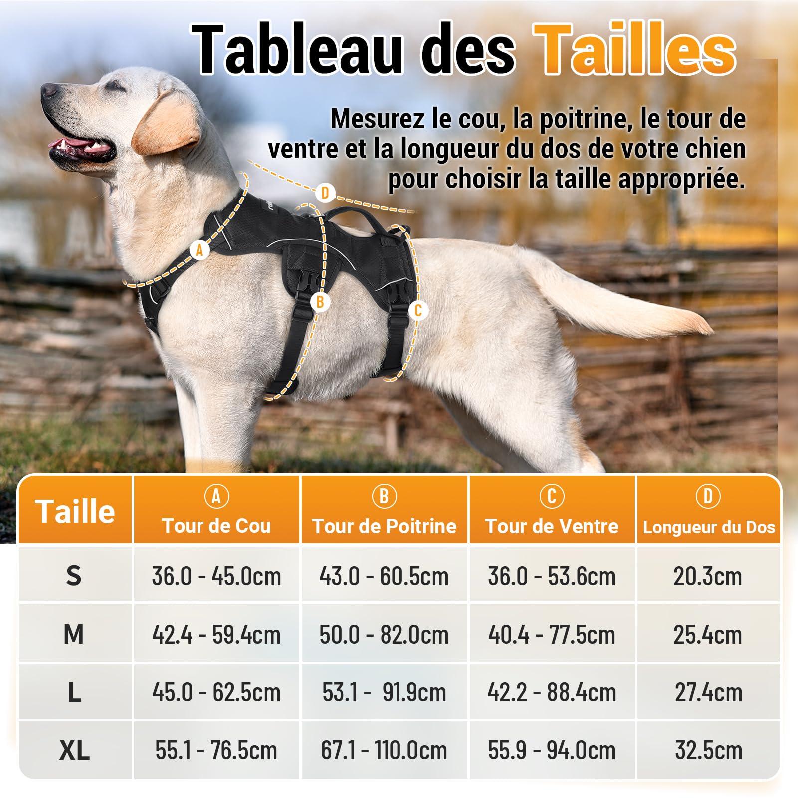 rabbitgoo Harnais pour Chien avec Poignée de Levage,Harnais Réglables pour Animaux de Compagnie Facile à Contrôler,Gilet pour Chien Réfléchissant pour Chiens de Taille Grande M, Noir