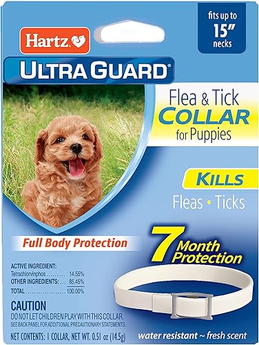 Hartz UltraGuard - Collar antipulgas y garrapatas para perros y cachorros protección y prevención de pulgas y garrapatas de 7 meses por collar