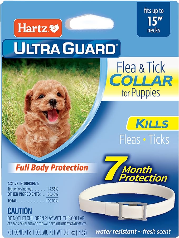The 5 Best Flea Collars For Puppies