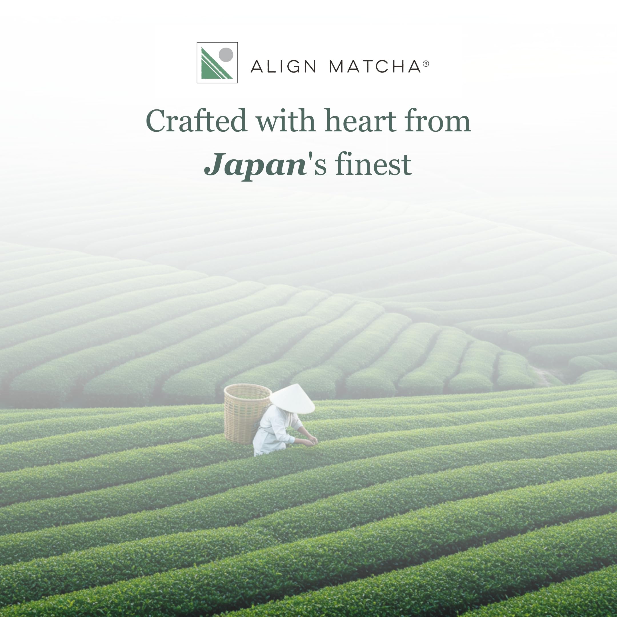 ALIGN MATCHA Ceremonial Organic Matcha Ichibancha First Tea calm ritual sourced from Japan 50 g 42 servings — view 8