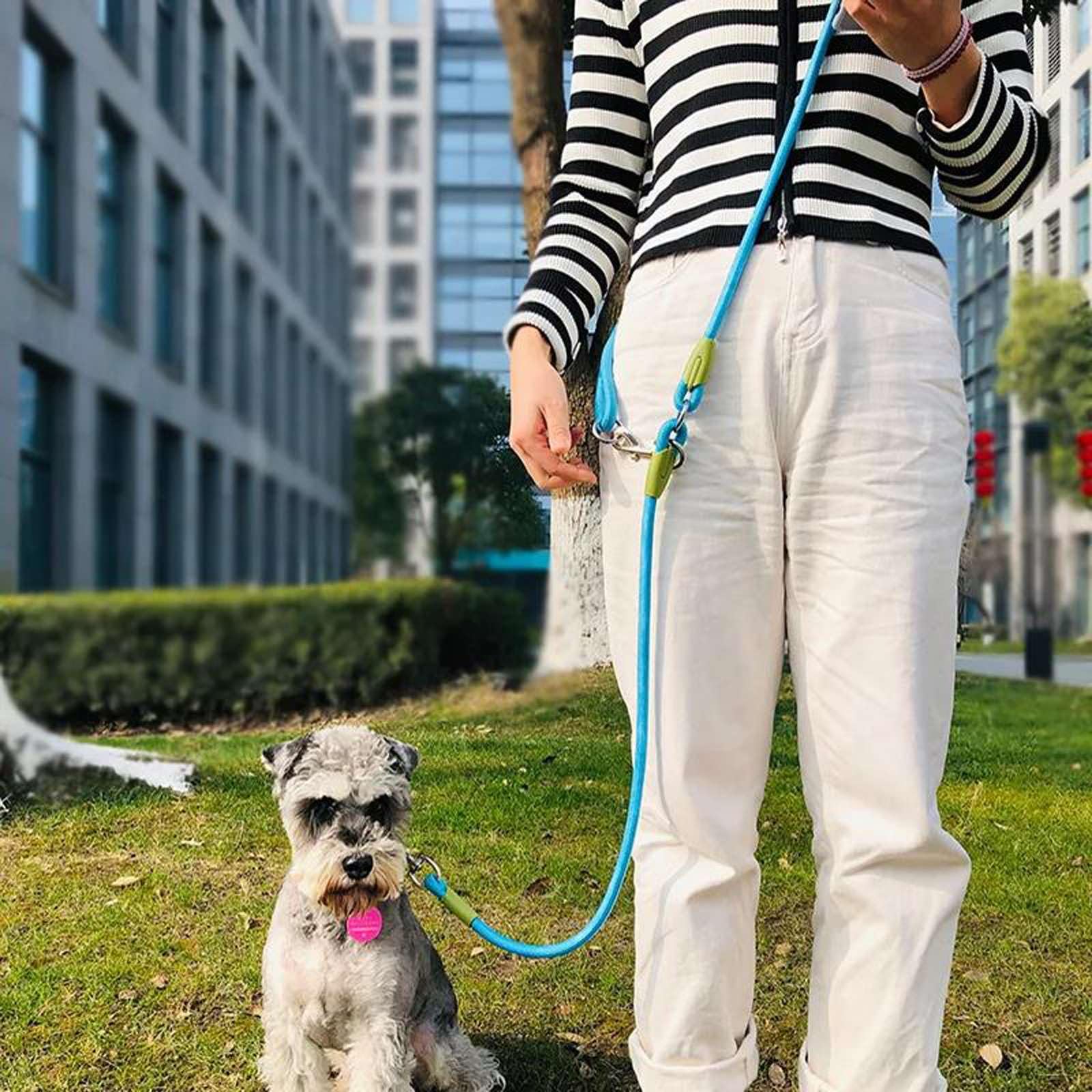 Correas de Nailon Reflectantes Cadena de Perros para Perros domésticos Correas de Cuerda de tracción para Correr Perro Que Camina Cadena de Cuerda de Manos Libres