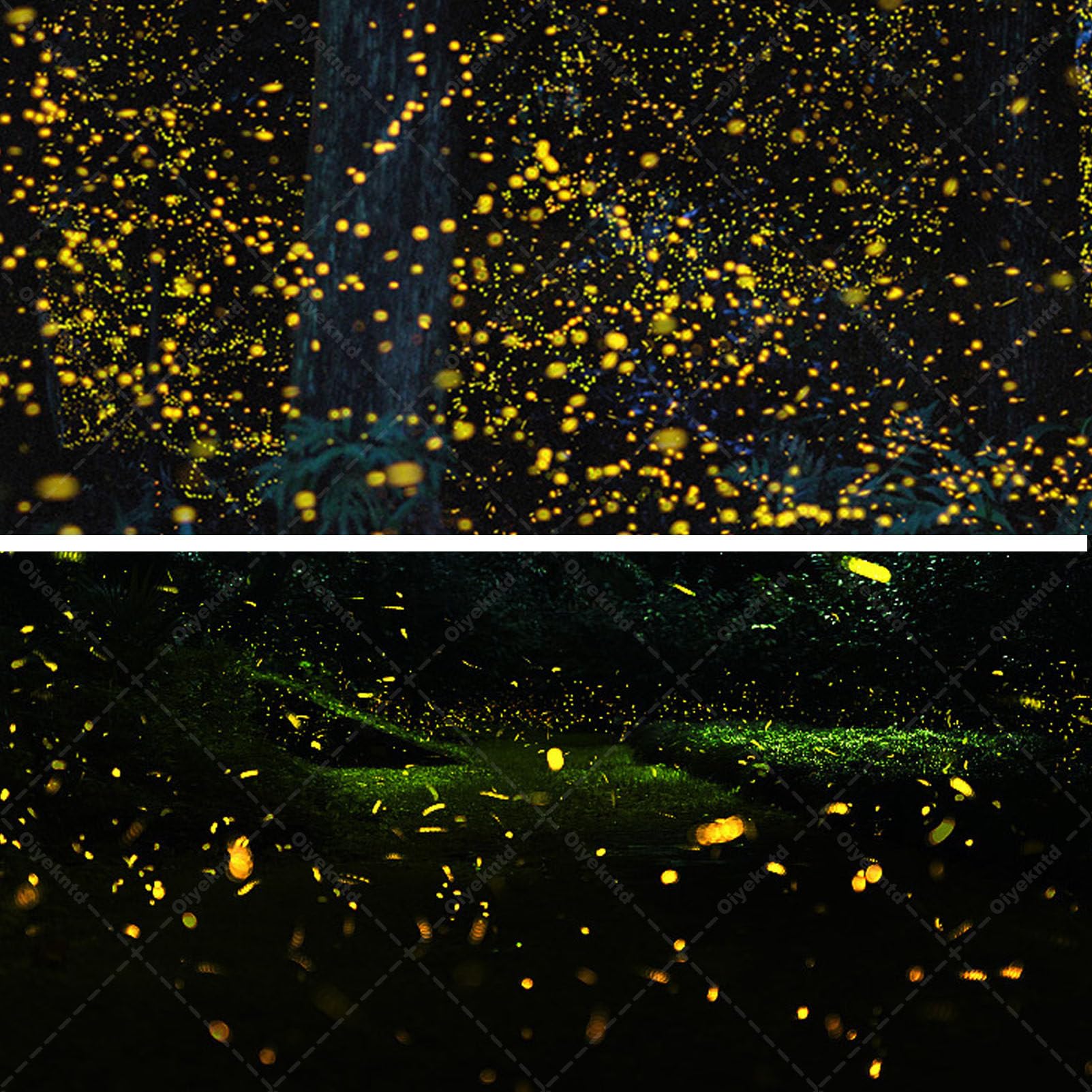 Projecteur Laser d'étoiles pour extérieur, Effets Lumineux de lucioles, lumières Laser de Noël, décorations de fêtes pour Jardin, Arbres, Maison, aménagement paysager 30W-Blue