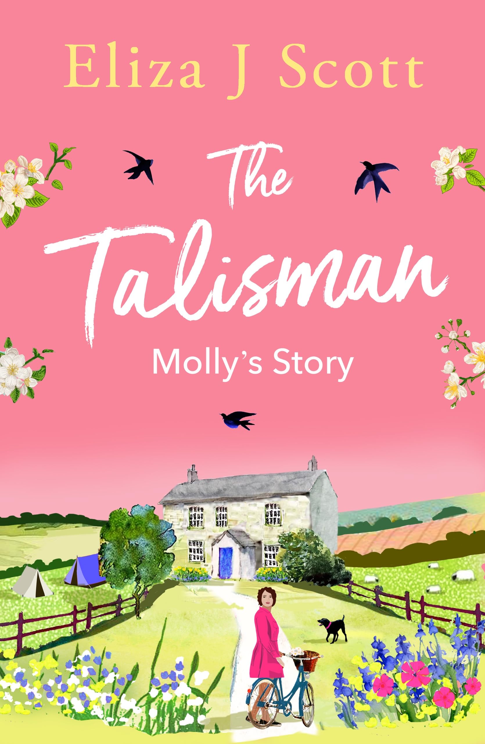 The Talisman - Molly’s Story: Molly’s Story: 2 (Life on the Moors)