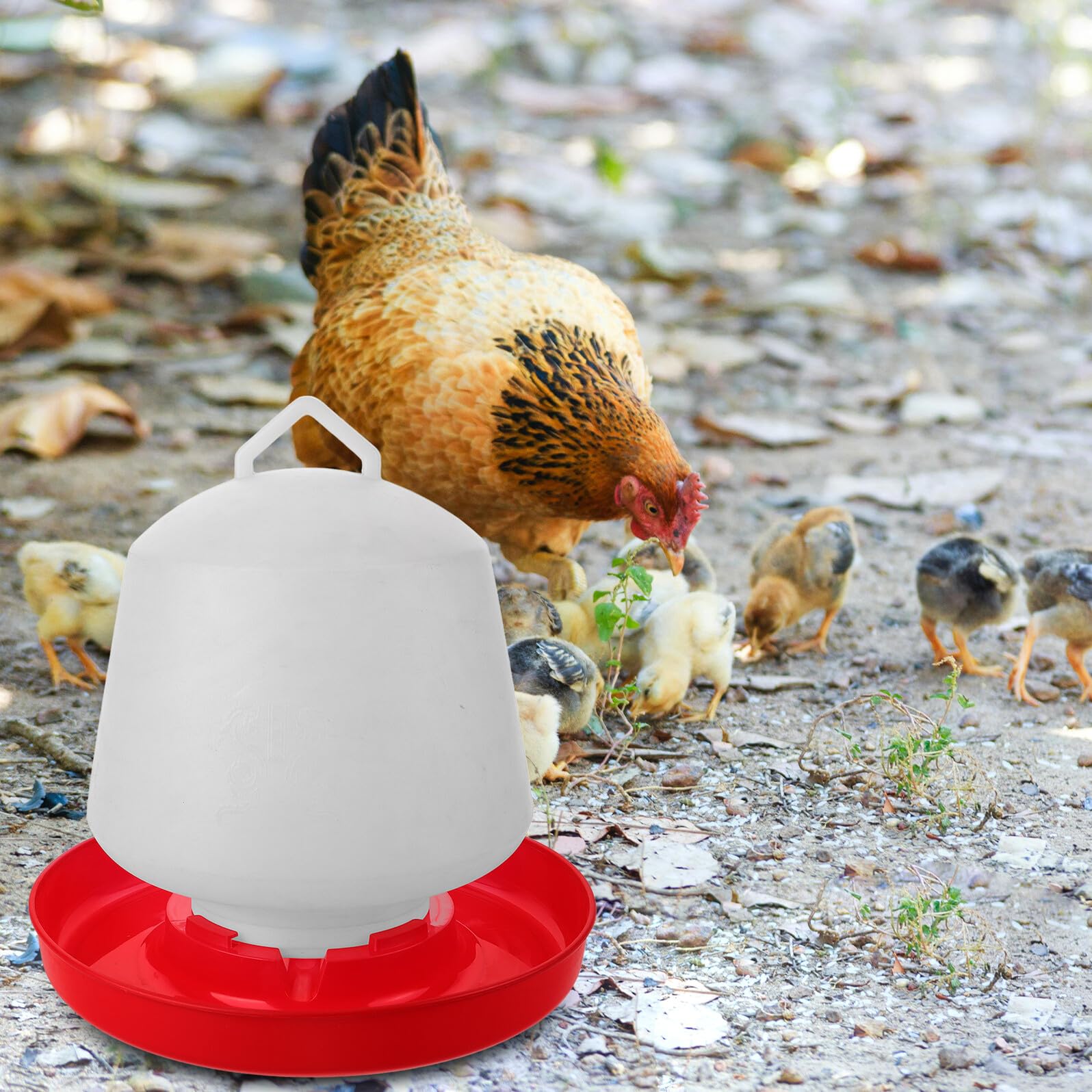Yardenfun Mangiatoia per Polli e Oche in Plastica Bianca Design Creativo, Resistente alle Cadute, per Uso Esterno in Allevamenti e Cortili