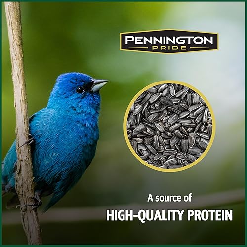 Vista 27 de Pennington - Pride Wild Finch - Mezcla de semillas para pájaros silvestres, 10 libras