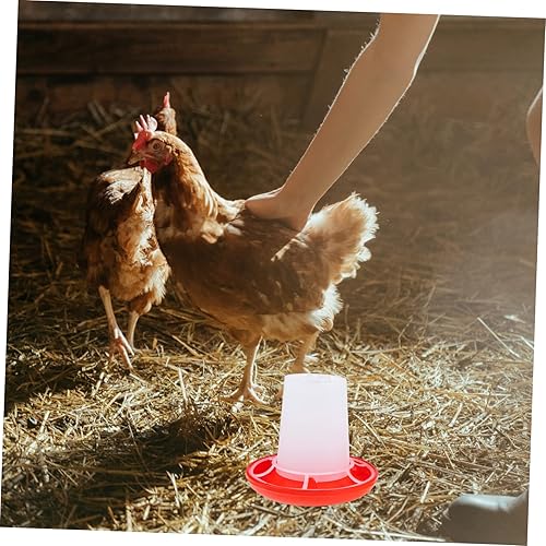 Miniatura 4 de Alimentador de pollitos domésticos, alimentador de codorniz, alimentador de palomas, alimentador de pollitos pequeño, bebedero para aves de corral,