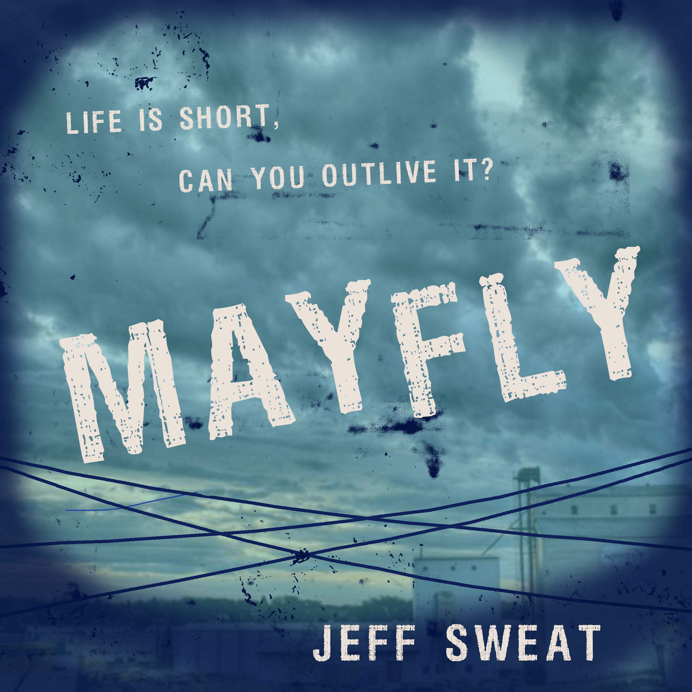 Cover art for Mayfly