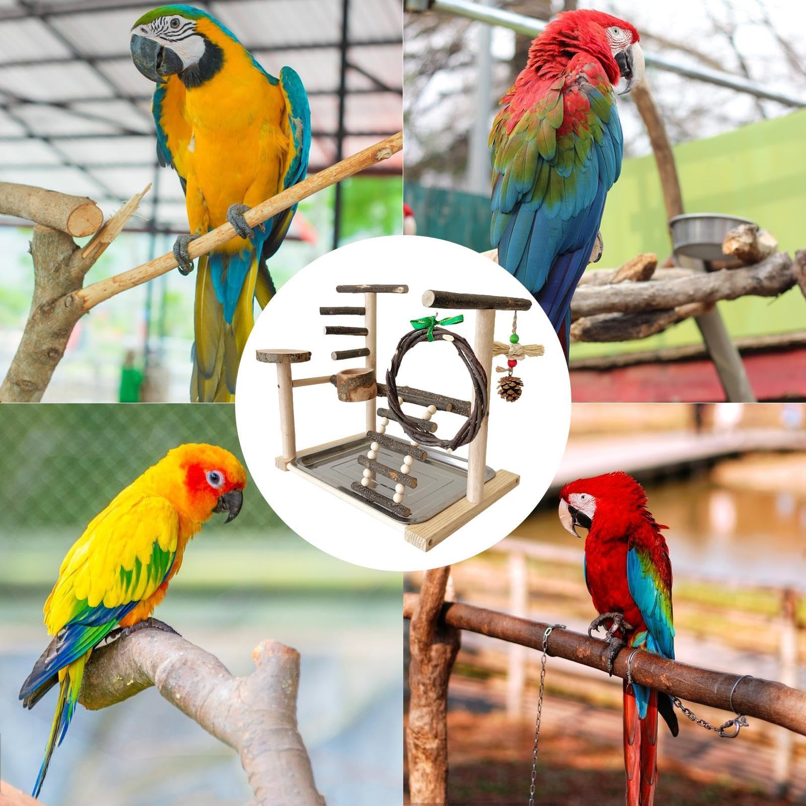 Parrots Bird Playground – Robusto soporte para jaula resistente a | mordeduras, juguetes adictivos y características del molino a, construcción segura | Accesorio portátil Callopsitte, p