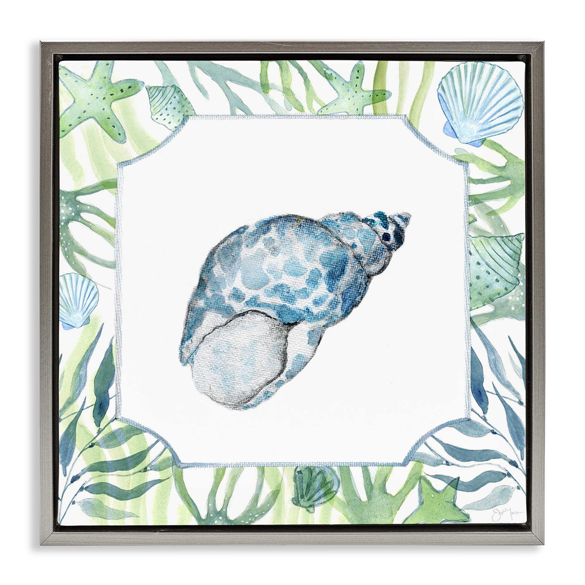 Stupell Industries Luster Gray (Matte) 'Spotted Cowrie With Seaweed'| Floating Frame Canvas Art