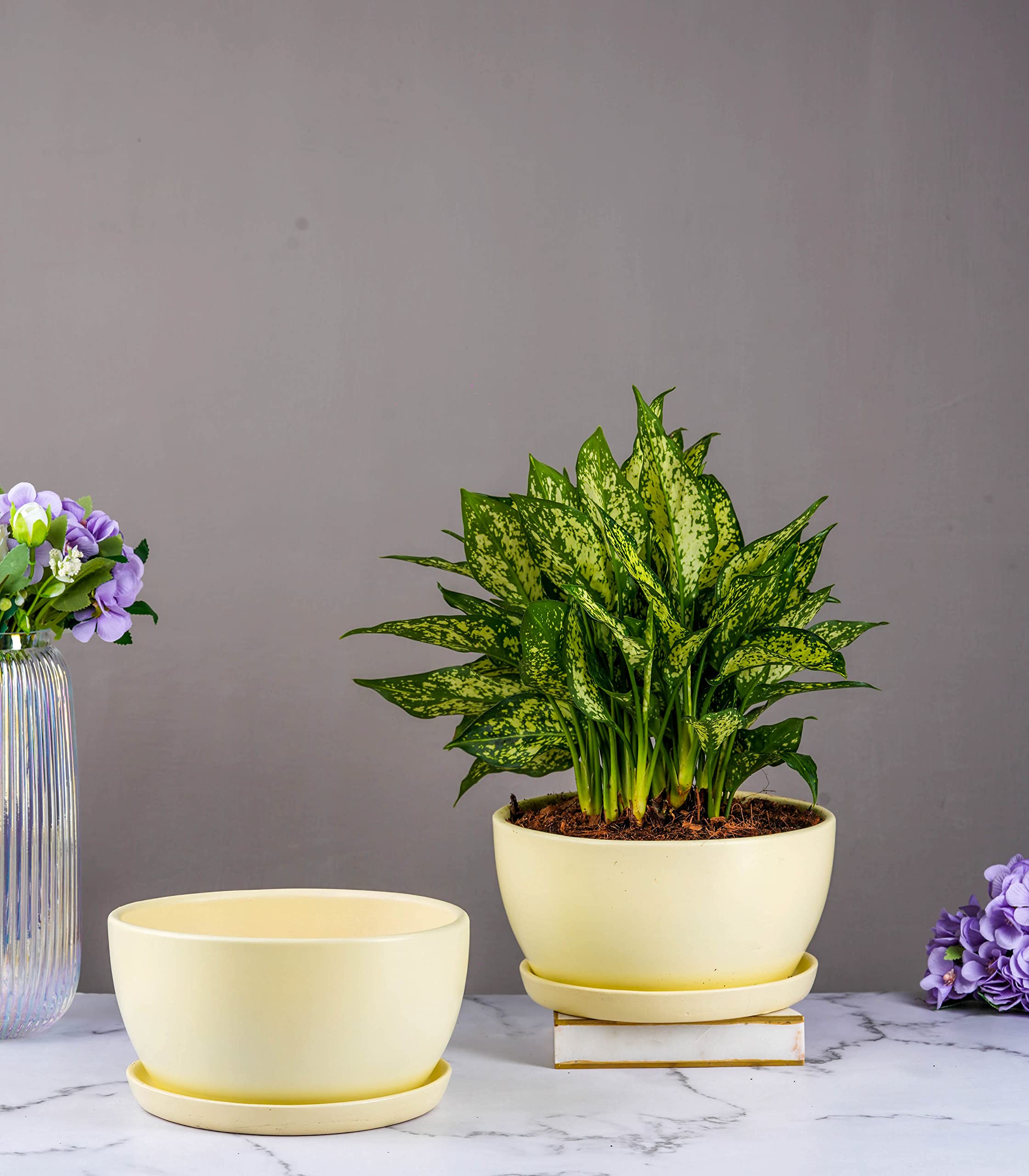 Nurturing Green® Modern Design 7.25 Inch Wide (Ivory White) Ceramic Pot | Ceramic Flower Pot for Home Décor & Gifting (Without Plants & Comes with Bottom Plate) - Set of 2 Pots (B0BPCLG9XC) Amazon Price History, Amazon Price Tracker