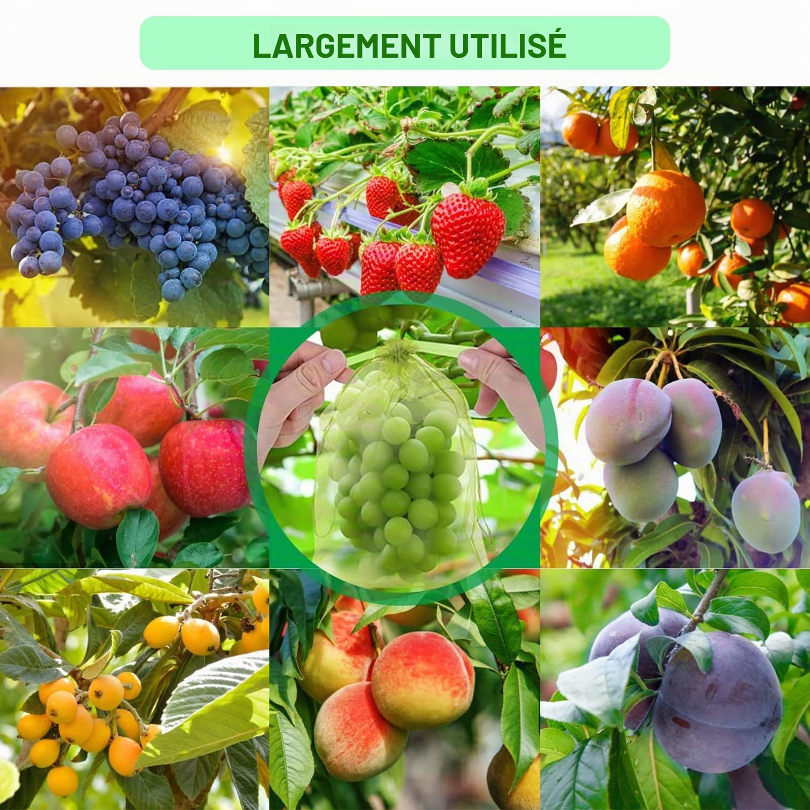 60 Pièces Sac Protection Raisin, Sacs Filets Protection Vert Sac Organza avec Cordon, Sacs Filets Protection des Grappes de Raisins Contre Guêpe Drosophile Scarabées Oiseaux, 20 * 30cm