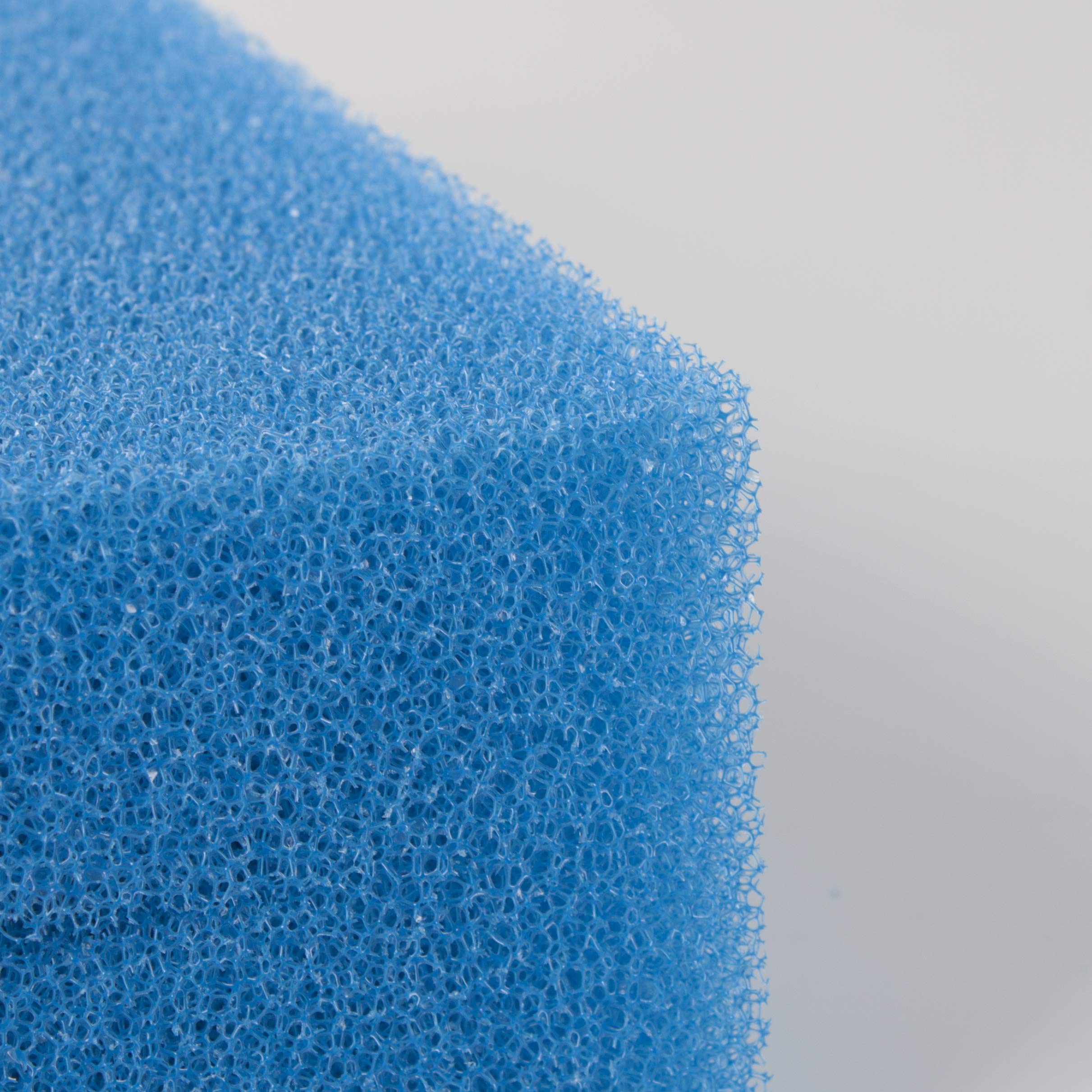 Compatible Remplacement Grossier Mousseux Filtration Eponge Convient pour Oase Biotec 5/10/30 (Paquet de 3)