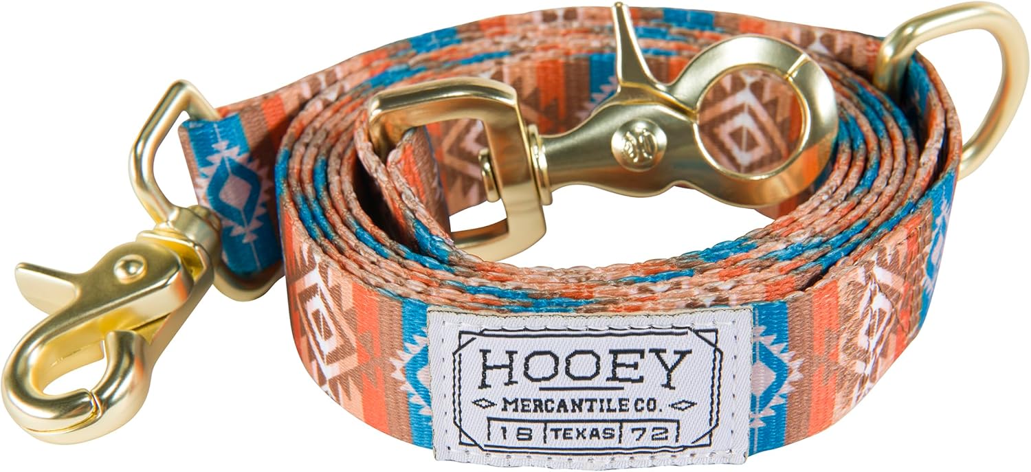 Hooey Nomad Dog Leash, Durable Polyester Webbing Leash with Graphic-Inspired Prints, Aztec Dirty Turq, 6'