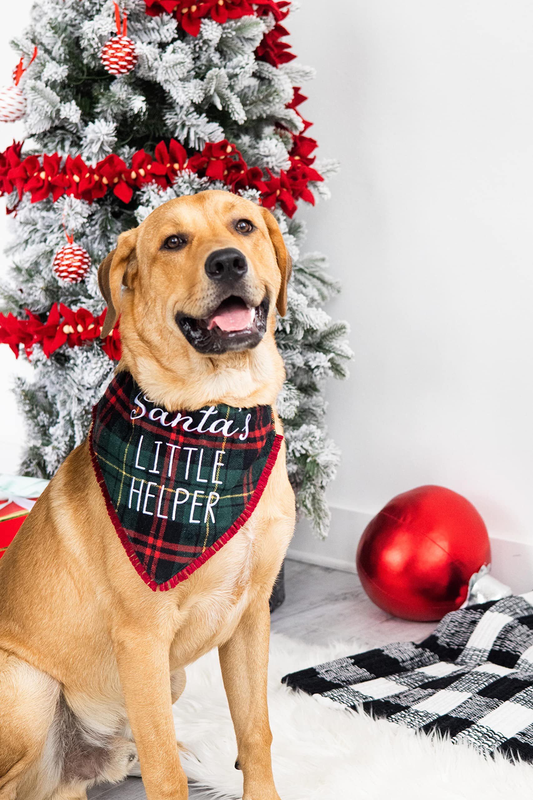 Pearhead Christmas Plaid Dog Bandana, Santa’s Little Helper Holiday Pet Bandana, Dog Christmas Bandana - Image 2