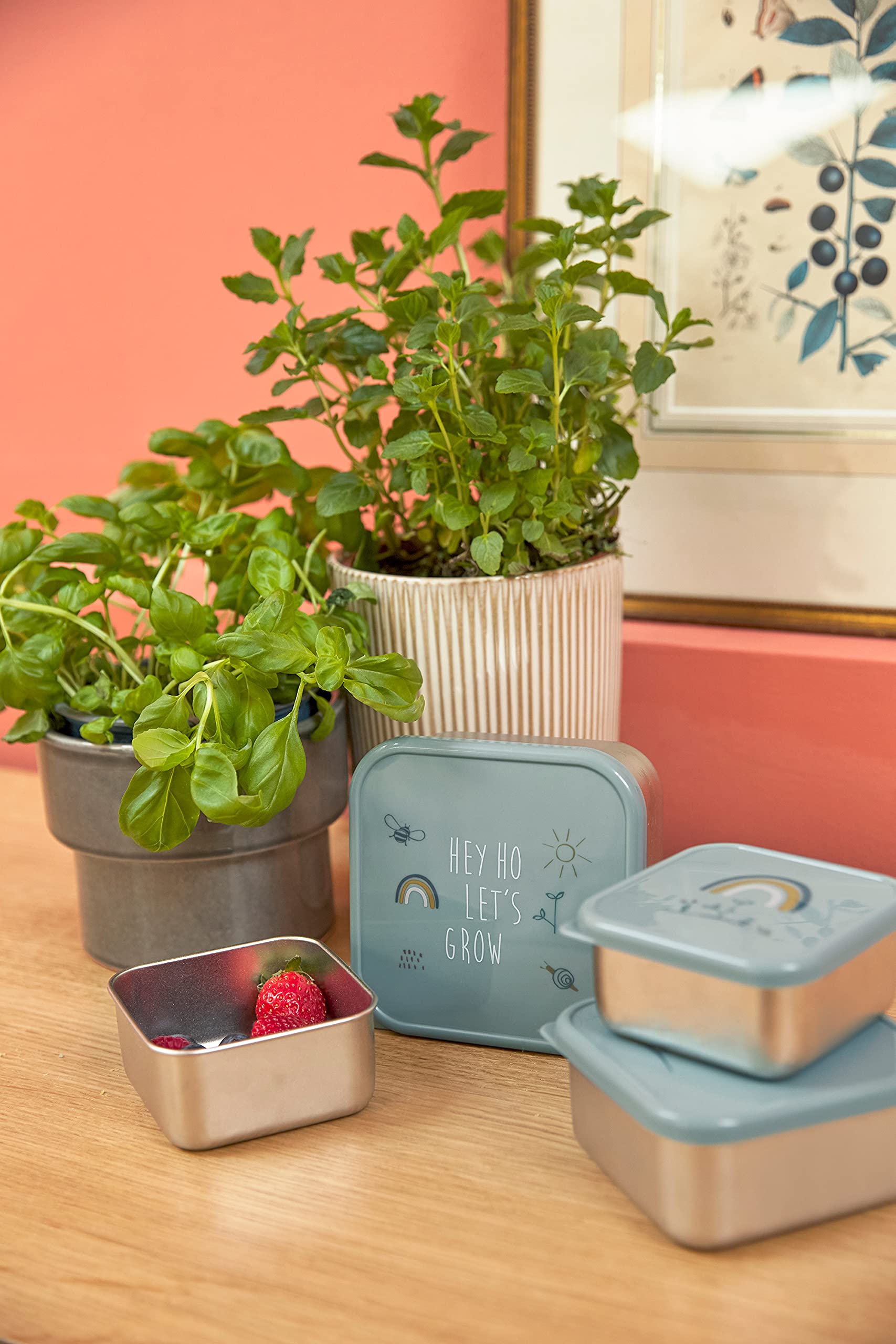 LÄSSIG Boîte à casse-croûte, lot de 3, en acier inoxydable Garden Explorer