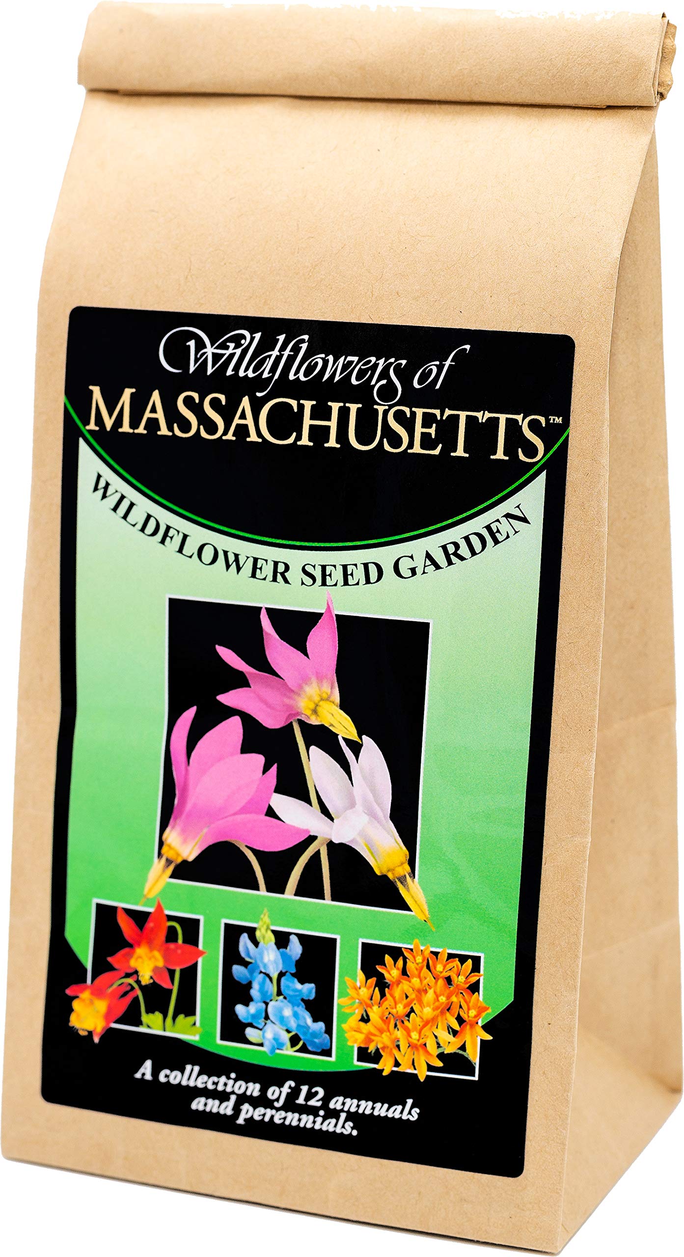 Massachusetts Wildflower Seed Mix - 12 Varieties of Non-GMO Flower Seeds for Planting at Home