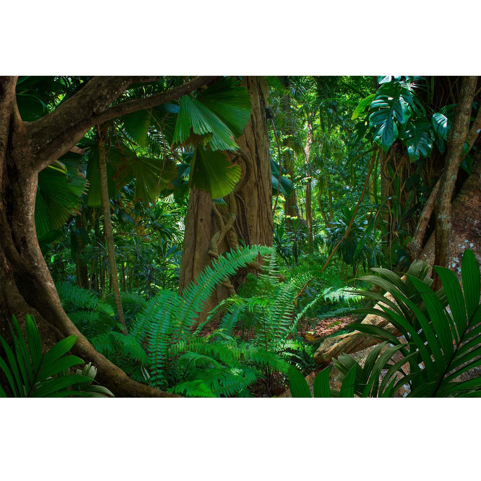 Riivvdise Forest Terrarium Background Tropical Rainforest Aquarium Background Huge Tree Rainforest Reptile Habitat Background Green Leaves Plants
