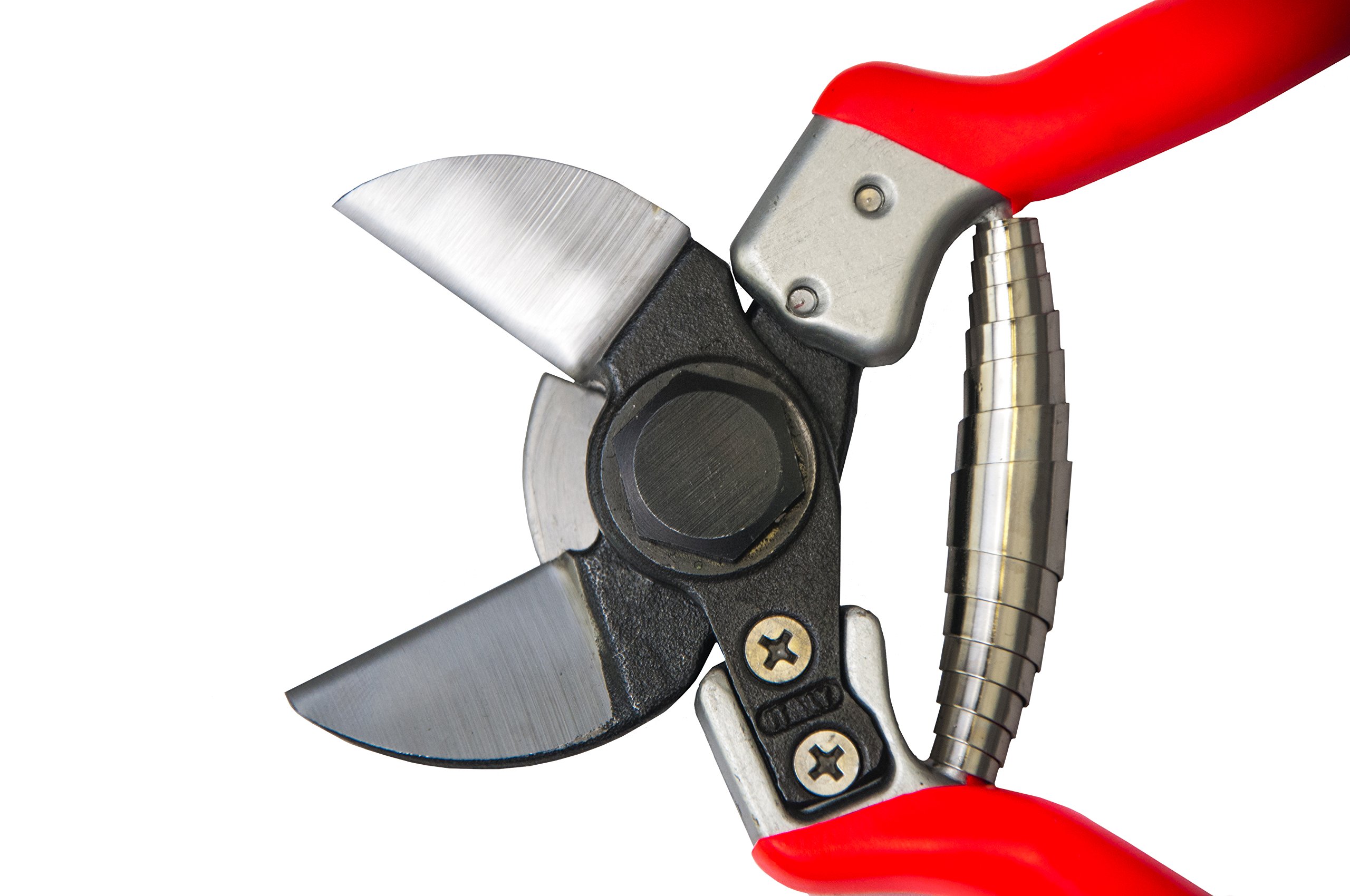 Forbice professionale per potatura a doppio taglio B12