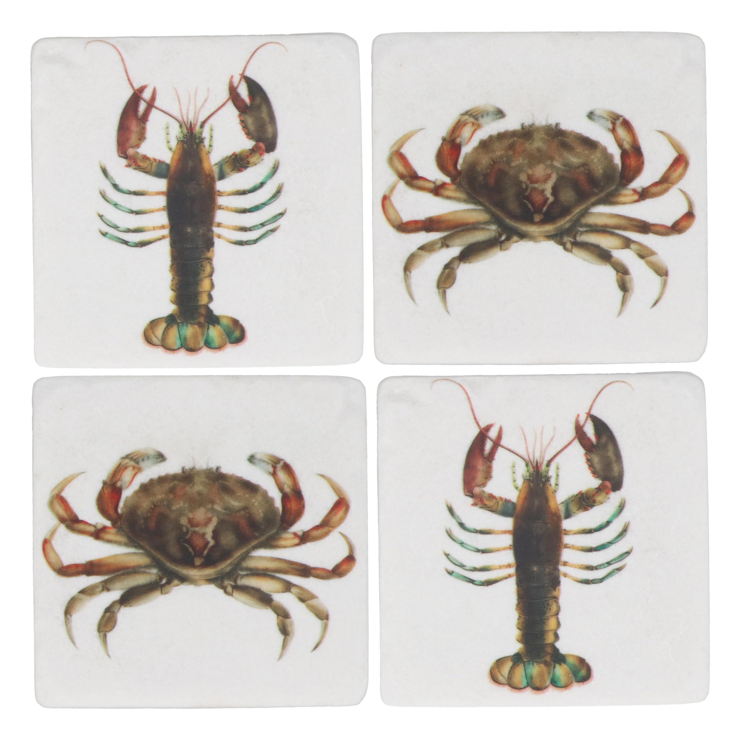 Gisela Graham Square Drinks Coasters, Crab and Lobster, Set of 4, Resin, 10cm