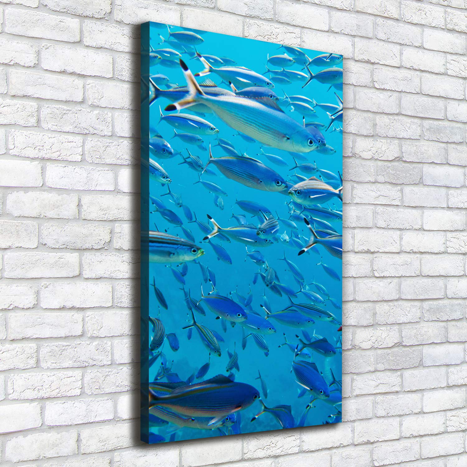 Tulup Cuadro en Lienzo - 50x100 - Pintura - impresión Decorativa para la Pared - Imagen Decorativa - Impresión de Lienzo - Animales - Azul - Peces De Coral