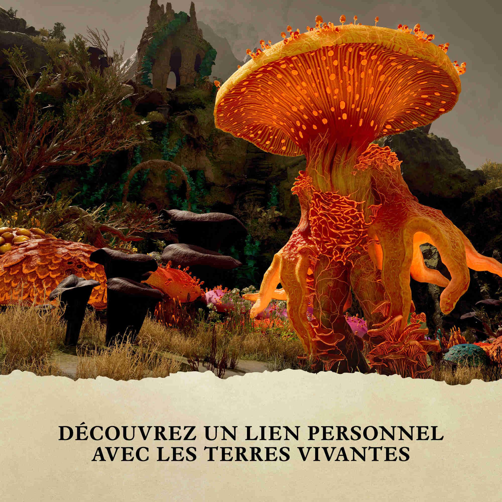 Avowed – Premium SteelBook – Xbox Series X|S et Windows (code jeu à télécharger dans la boite)