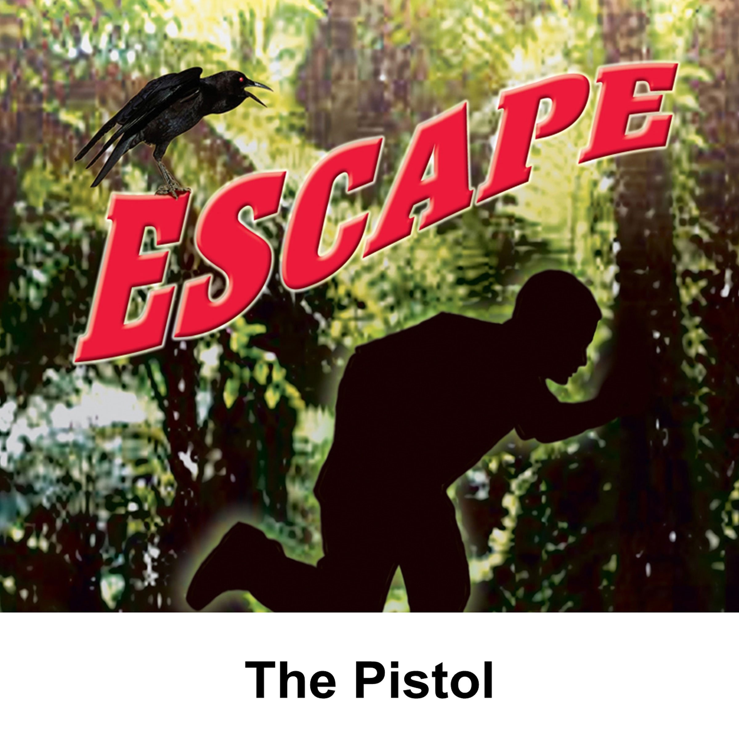 Escape: The Pistol