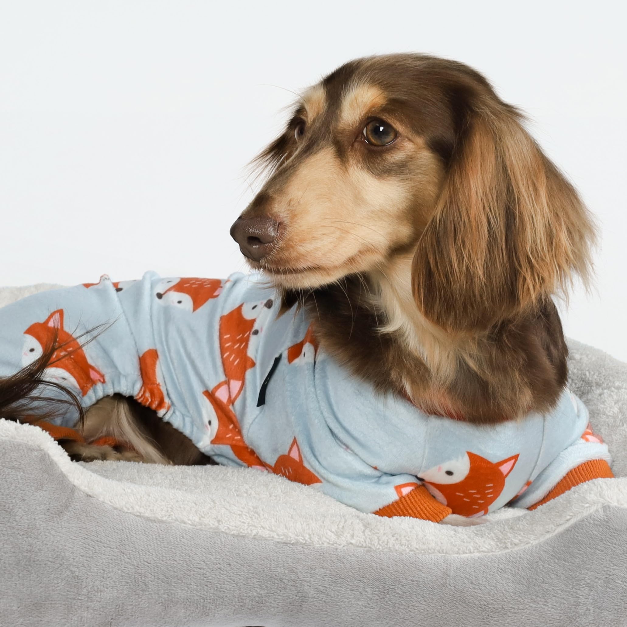 Fitwarm Hunde-Pyjama, Flauschig Gestreift – Winterkleidung Für Kleine Hunde, Größe L