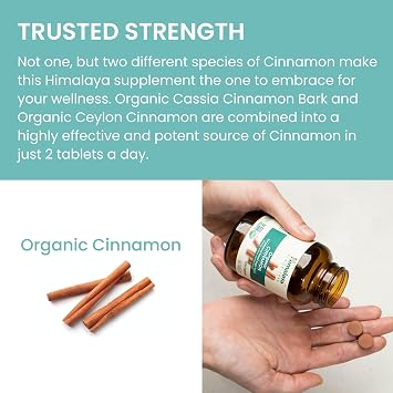 Himalaya Organic Cinnamon, Cinnamon Supplements, 30 Day Supply - Herbal Glucose Metabolism Support - USDA Organic, Non-GMO, Vegan, Gluten Free, 1100 mg, 60 Tablets