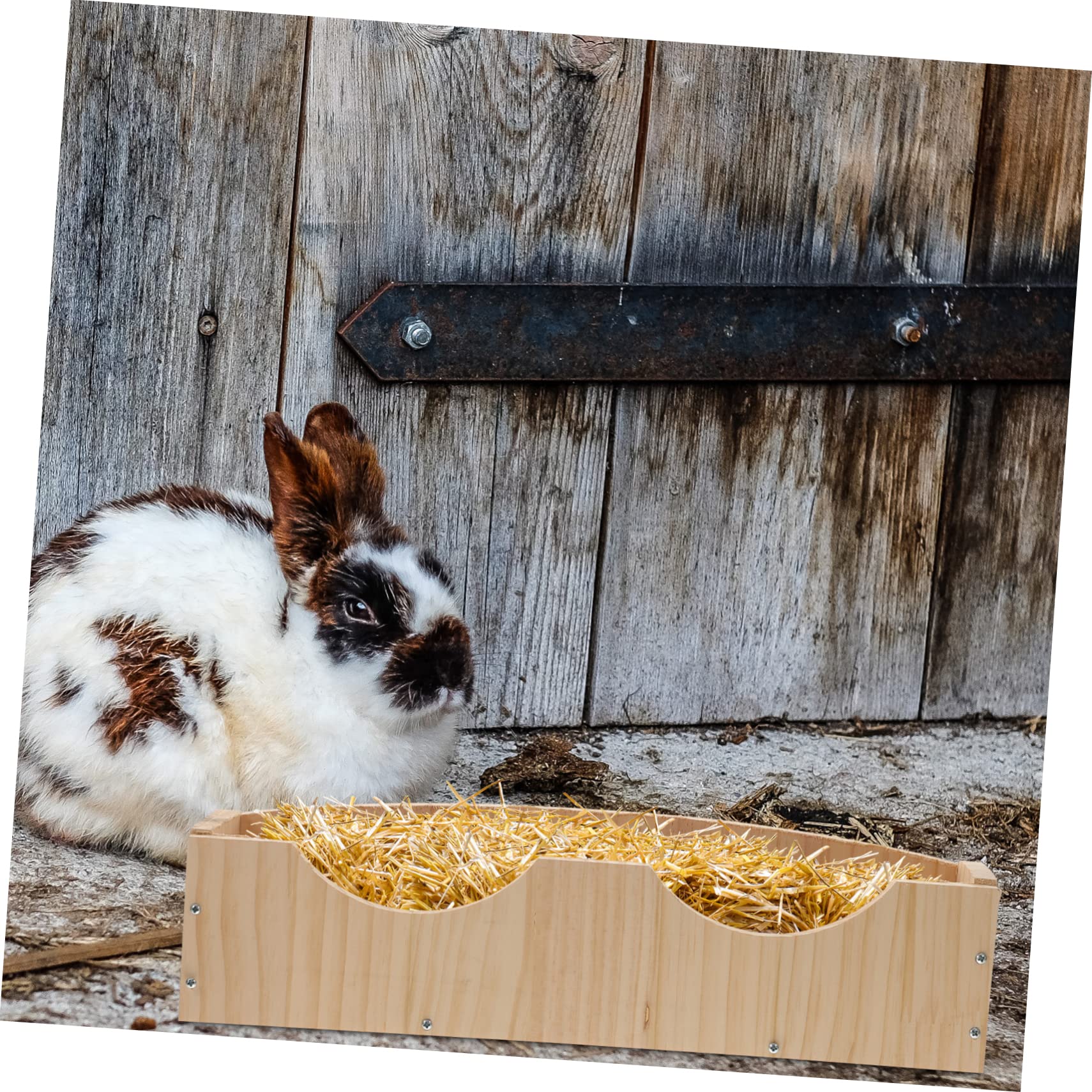 VANZACK Großer Futterautomat mit Fixator zum Aufhängen für Hamster und Meerschweinchen Einfach zu Essen Holz Kaninchenbehälter für Stall und Außenbereich