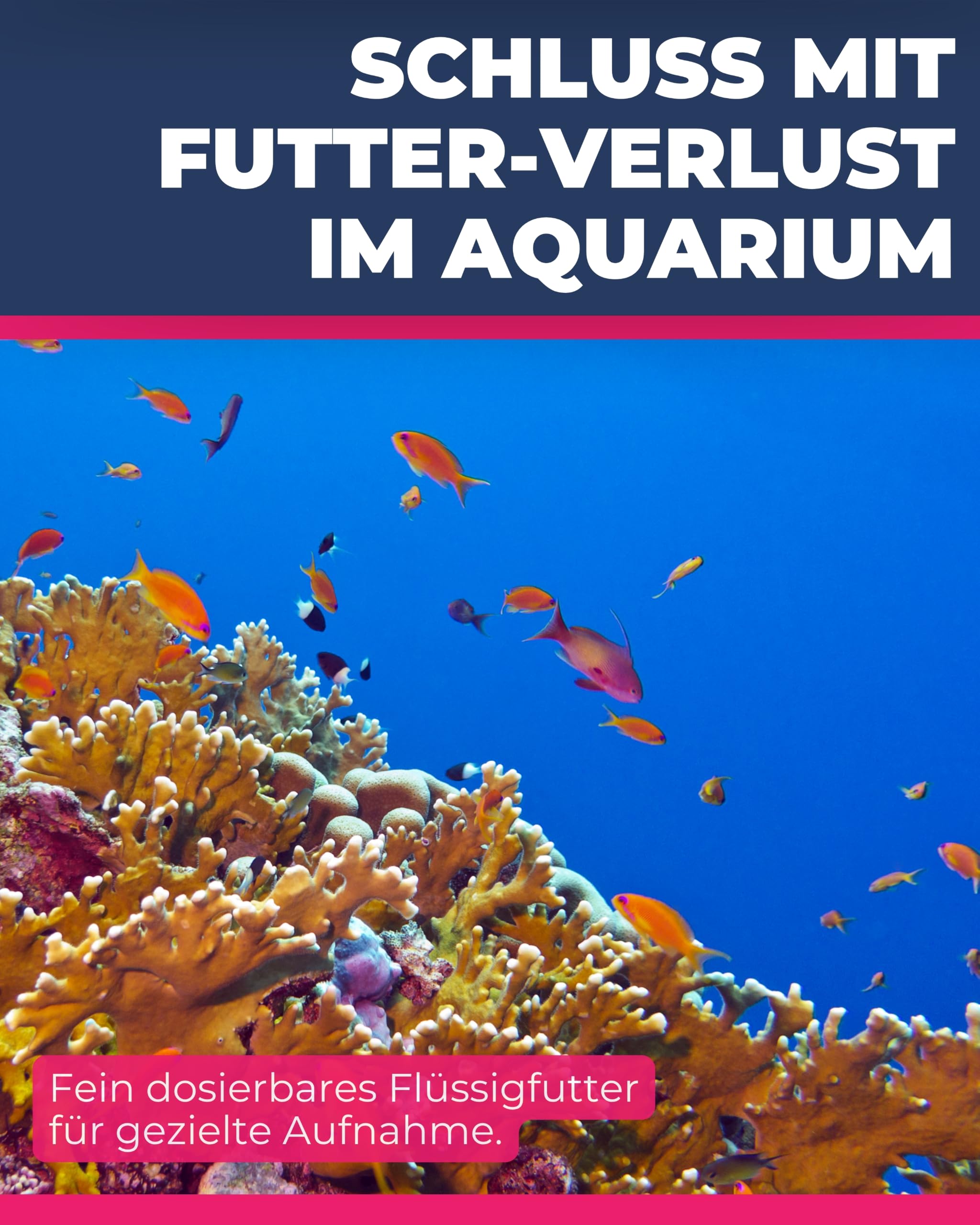 Dupla Marin Gel-o-Juice Mysis I 500 ml I flüssiges Zooplankton-Konzentrat mit kleinen Schwebegarnelen I für gutes Fischwachstum und gesunde Korallen I nährstoffreiches Fischfutter