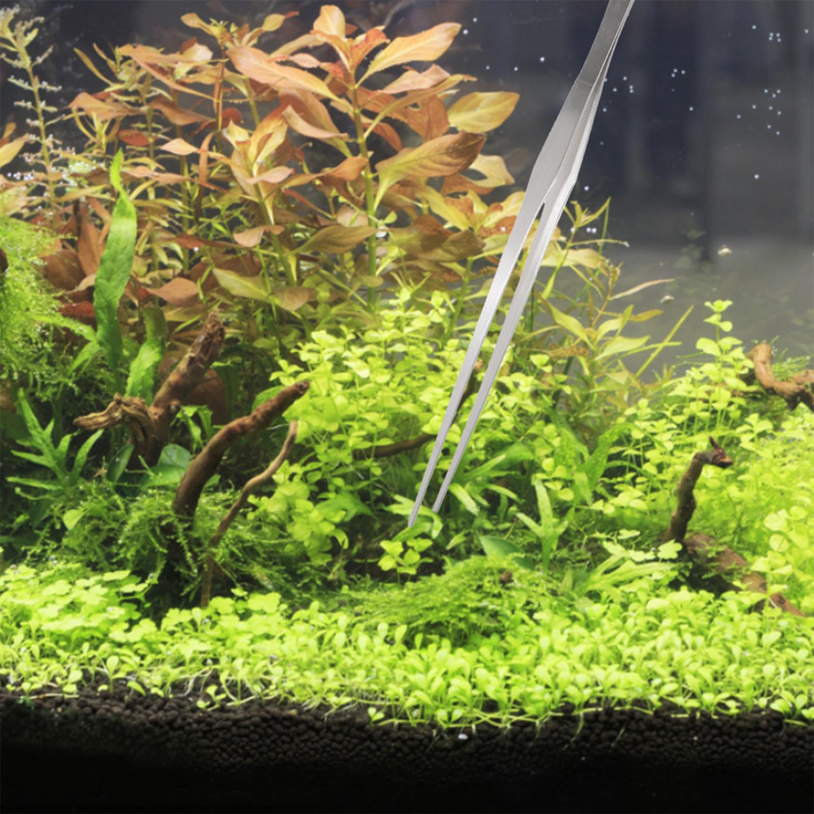 HANABASS Kit D’Outils D’Aquascaping pour Aquarium Grattoir à Algues 46 CM Ciseaux 25 CM et Pince 38 CM en Acier Inoxydable Matériel de Nettoyage pour Plantes Aquatiques et Entretien
