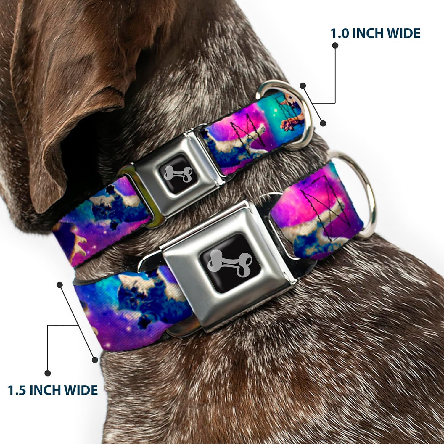 Buckle-Down 15-26" Cats In Space Pinks/Blues Dog Collar Bone, Large