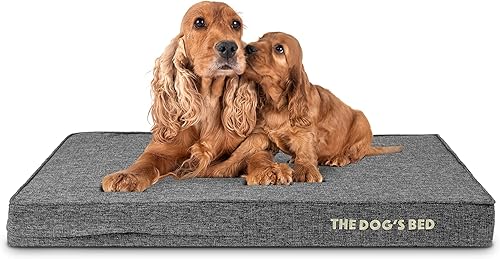 Miniatura 34 de The Dog's Bed - Cama ortopédica de espuma viscoelástica para perro, grande gris y negro, impermeable, cama de apoyo con fundas reemplazables, negro