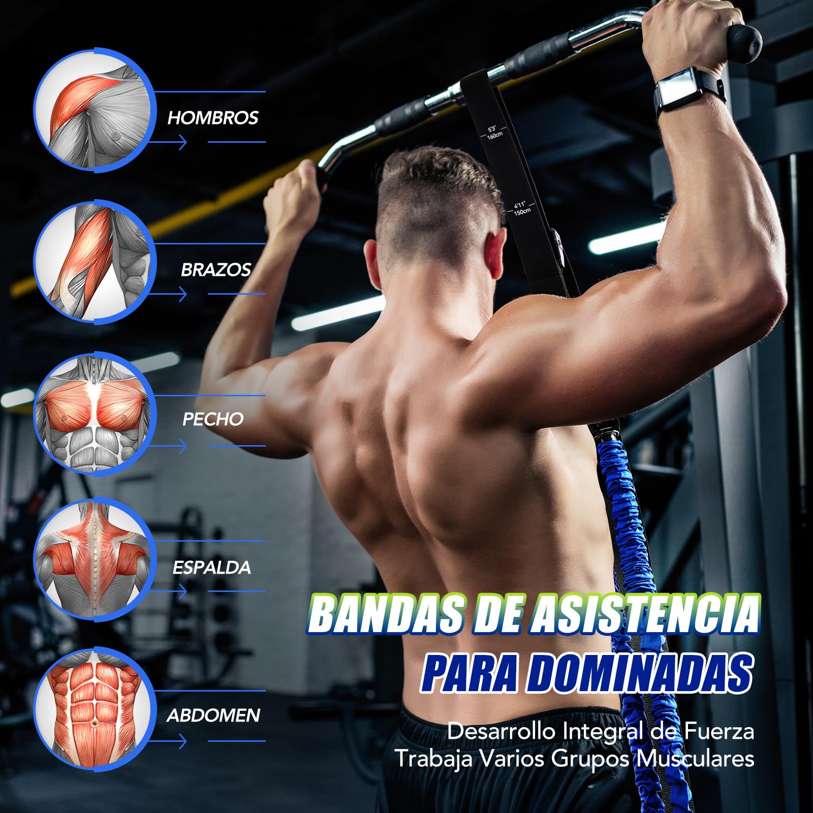 ALongSong Bandas de Resistencia para Dominadas con 4/5 Bandas, Rango de Bandas Elasticas de 80-320Lbs / 80-400Lbs y Plataformas Ajustables para los Pies para Entrenamientos en el Gimnasio