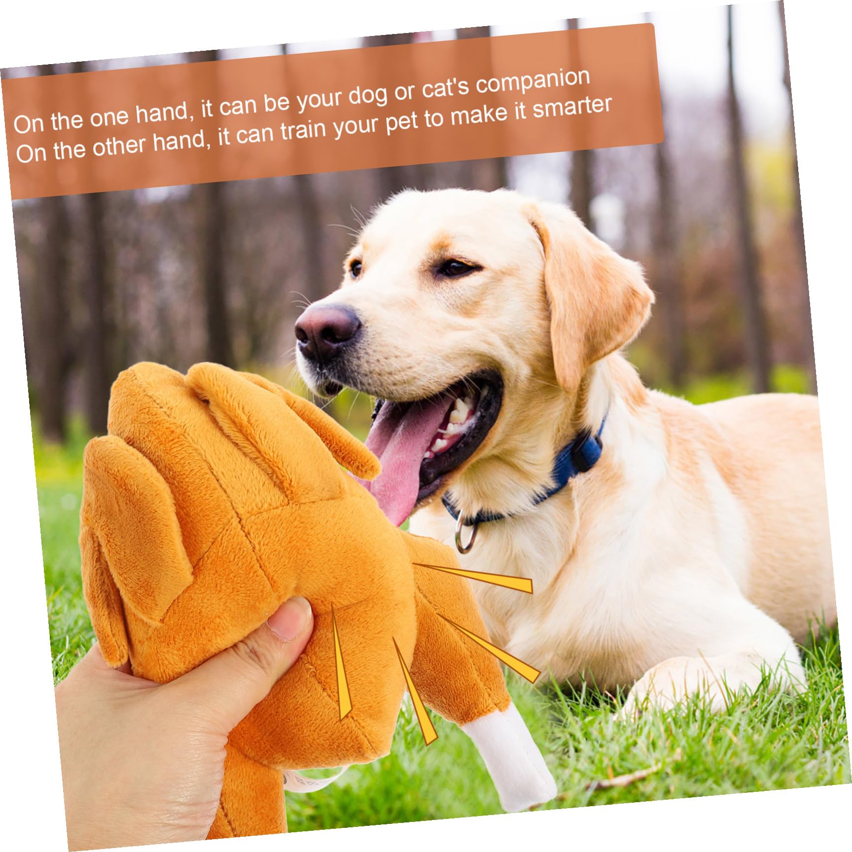 POPETPOP 5 Juguetes para Morder al Aire Divertidos Juguetes Masticables para Mascotas Juguete Interactivo con Sonido Chirriante para Perros Material para Olfatear Y Buscar Comida.