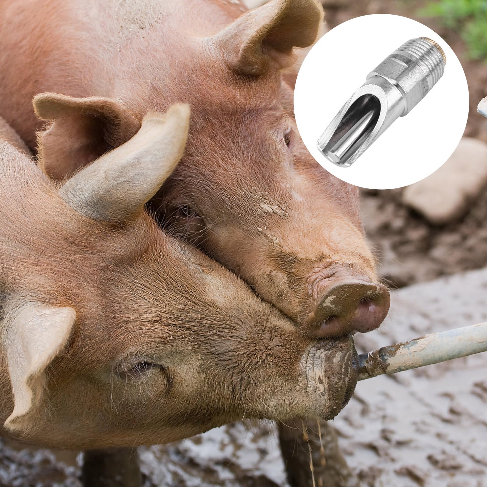 Toyvian 10 Stück Schweinetränke Nippel aus Edelstahl Auslaufsicher mit Dichtleistung für Sauen und Ferkel in Nutztierhaltung