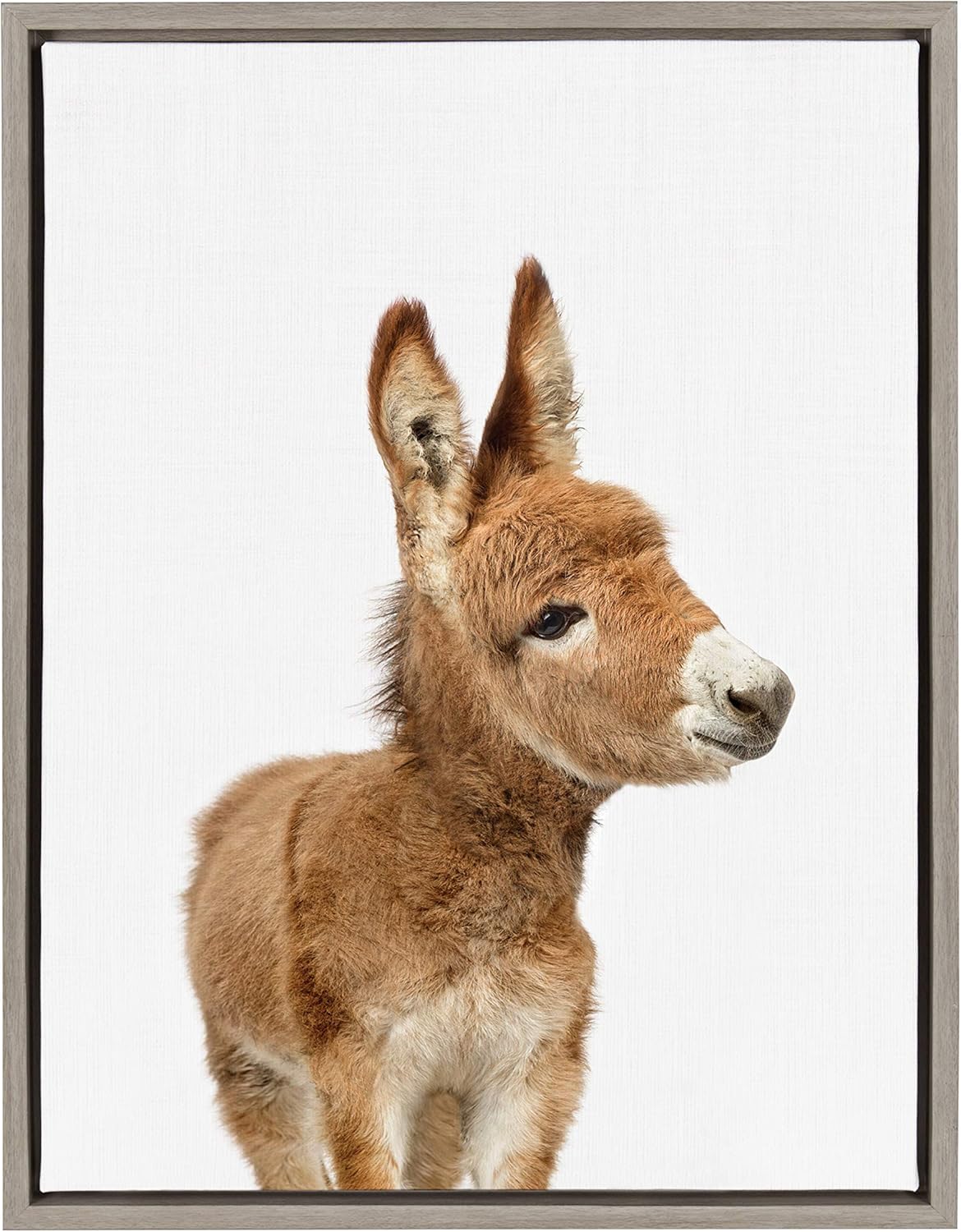 Kate and Laurel Sylvie Baby Donkey Animal Print Portrait Framed Canvas Wall Art by Amy Peterson, 18x24 Gray