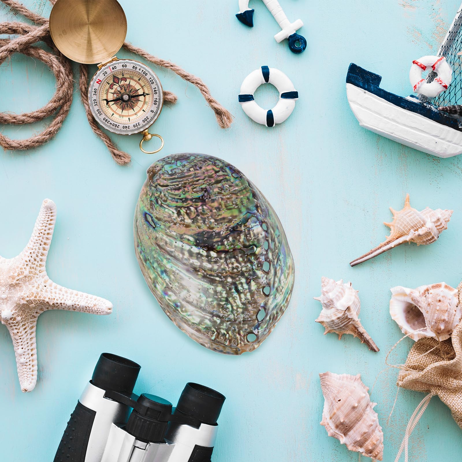 Veemoon Natürliche Abalone-Schale Shell Desktop Tank Zubehör Strand Räucherstäbchen Poliert Hoch DIY Anhänger Wohnschmuck Poliert Ring Tisch cm Paua für Halter Clearing Bowl Coastal Large Dekorative