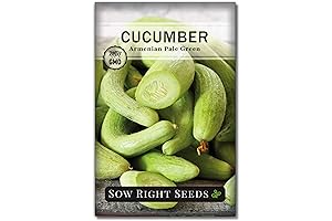 Sow Right Seeds - Armenian Pale Green Cucumber Seeds